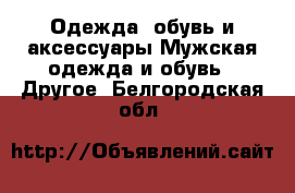 Одежда, обувь и аксессуары Мужская одежда и обувь - Другое. Белгородская обл.